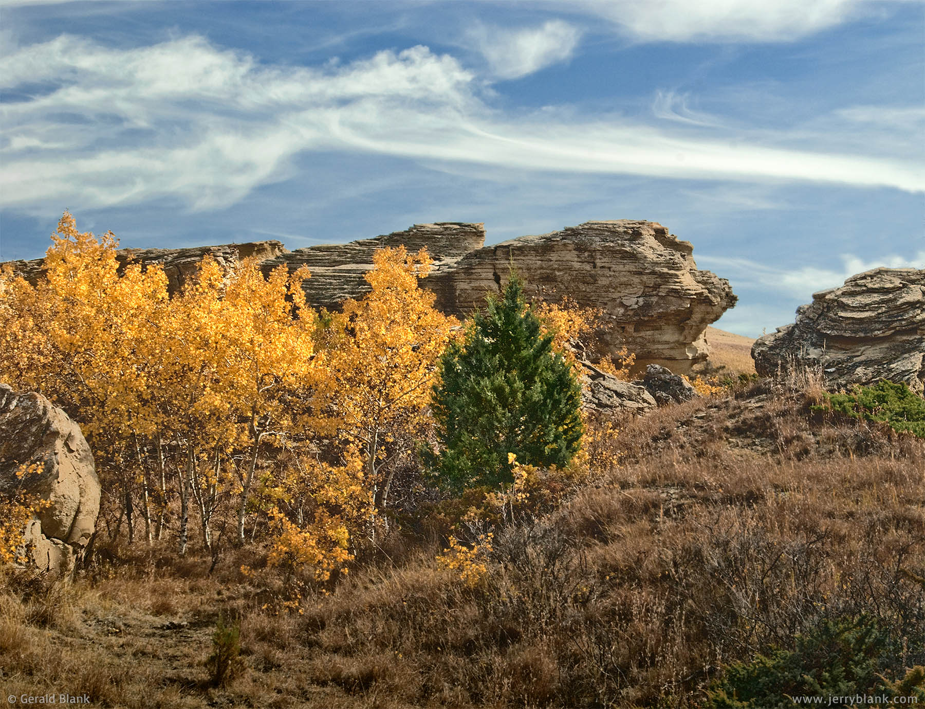 #02659 - Colorful autumn aspens and weathered sandstone formations near the Aspen Trail, Little Missouri National Grassland, Billings County, North Dakota